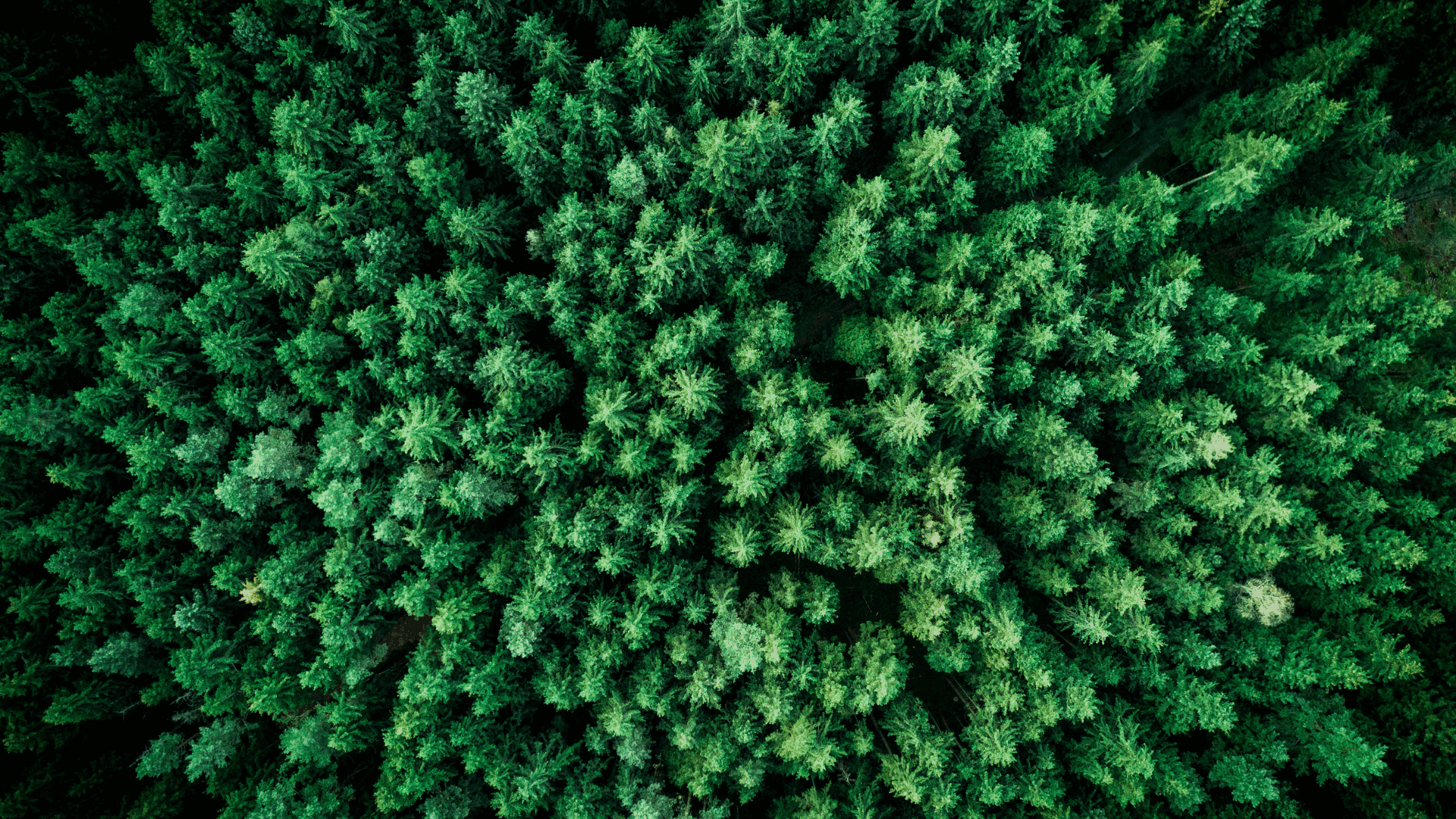 Clean Energy Generation